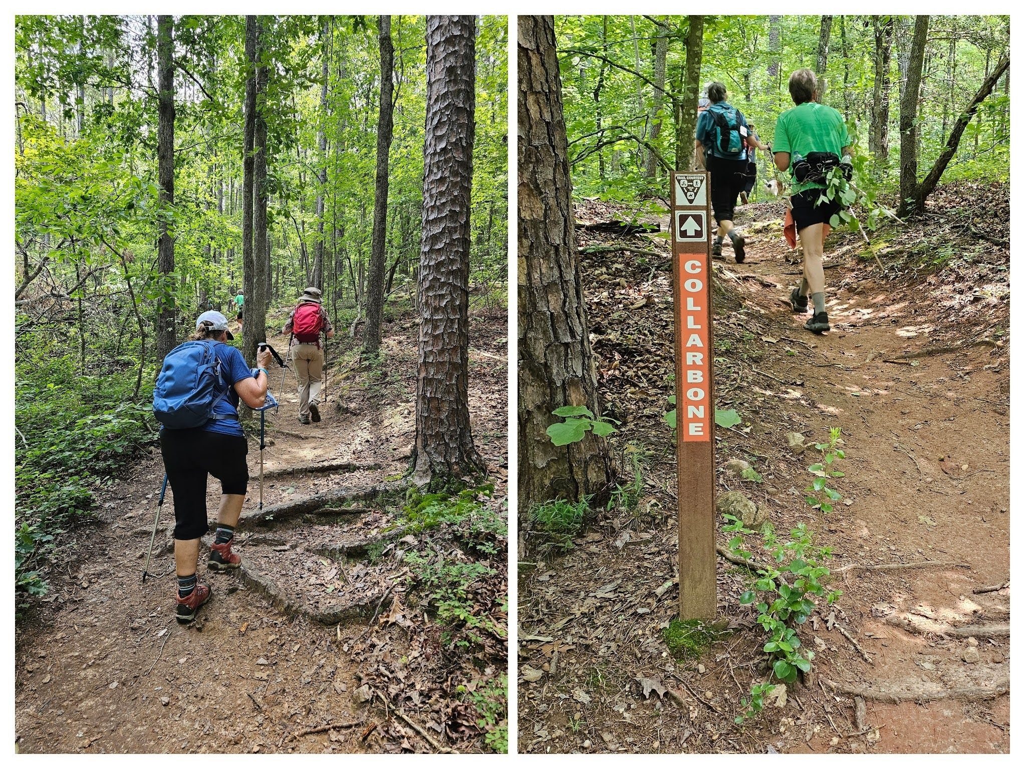 We encountered this series of inclines on our return on the Collarbone Trail.