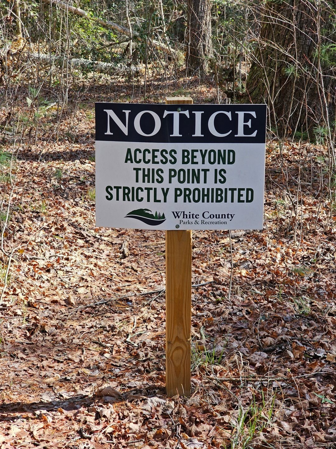 No visit to the cascade and Yonah Preserve Falls today.