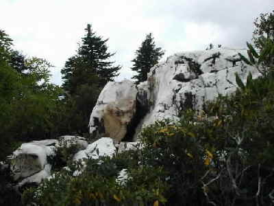 Our lunchtime destination. One of the huge white quartz rock faces of Shining Rock Mtn.