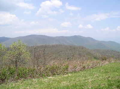 Looking over to Winespring Gap and Wayah Bald (right).