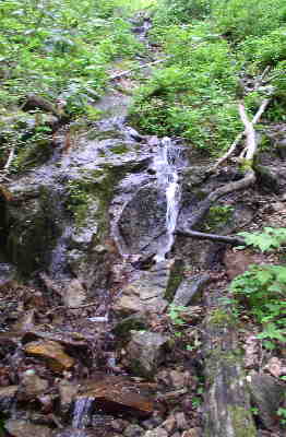 A nice refreshing mountain spring next to the trail.