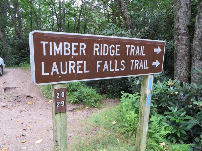 Next, we move down the road to Laurel Creek Falls Trail