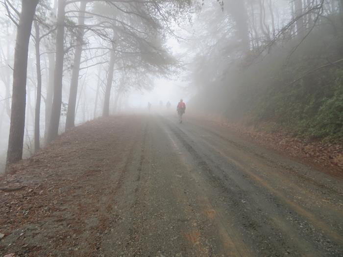 Next, we re-enter the Sink trail to the summit of Currahee.